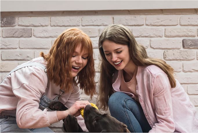 Overline Academy: formazione continua per toelettatori