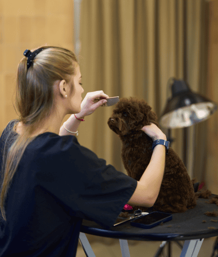 Formazionexformatori